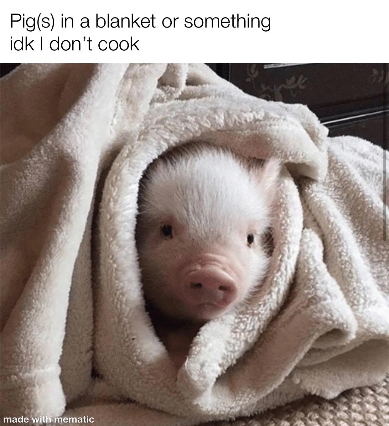 Pig In A Blanket Meme - KibrisPDR