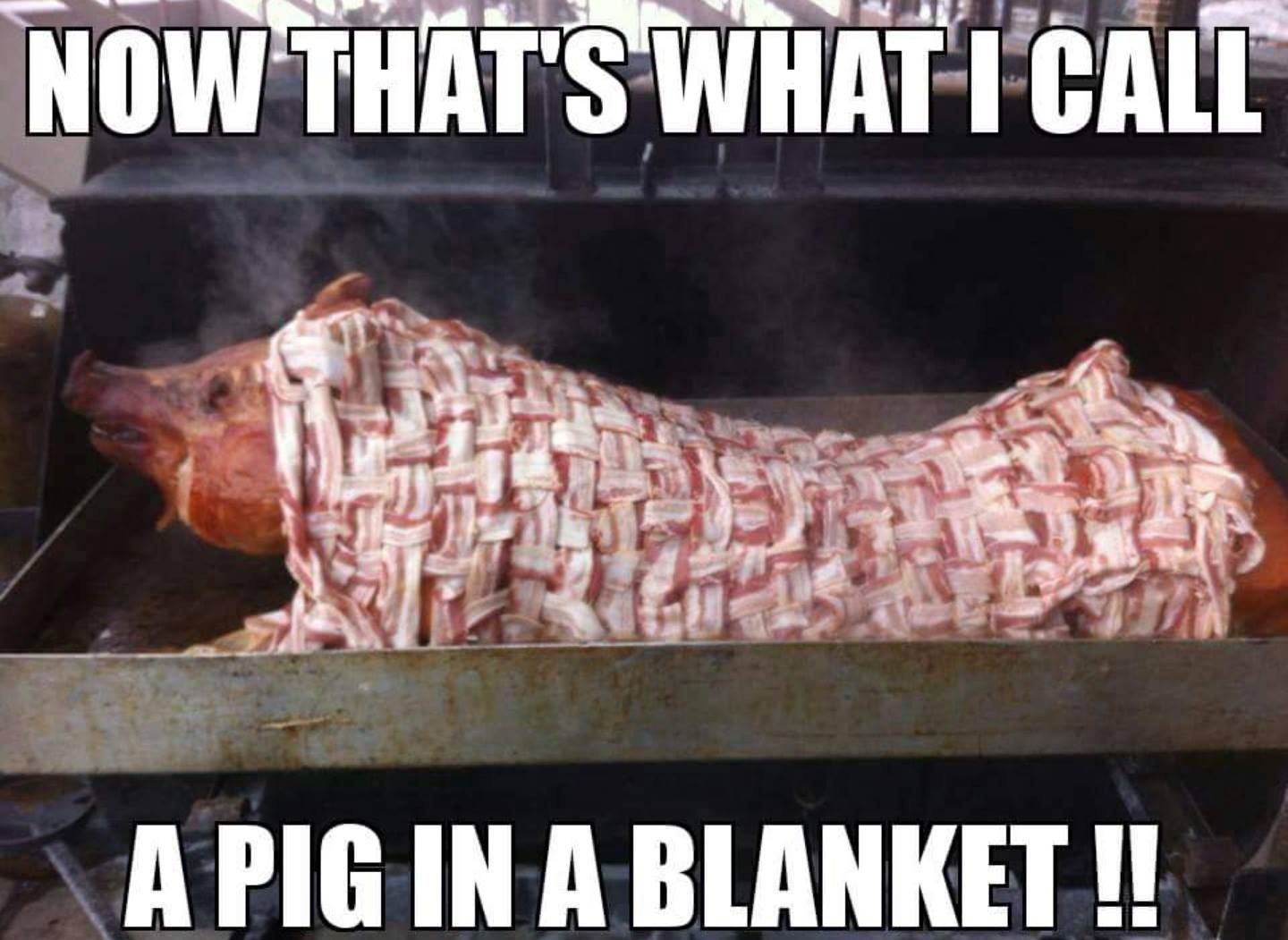 Detail Pig In A Blanket Meme Nomer 5