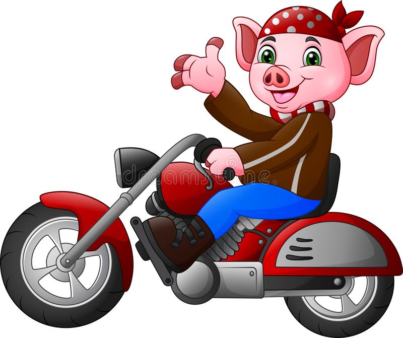 Detail Pig On Motorcycle Clipart Nomer 2