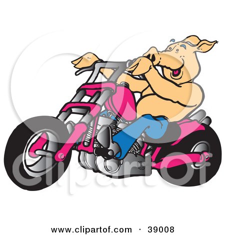 Detail Pig On Motorcycle Clipart Nomer 14