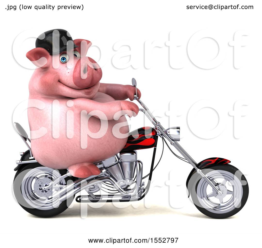 Detail Pig On Motorcycle Clipart Nomer 16