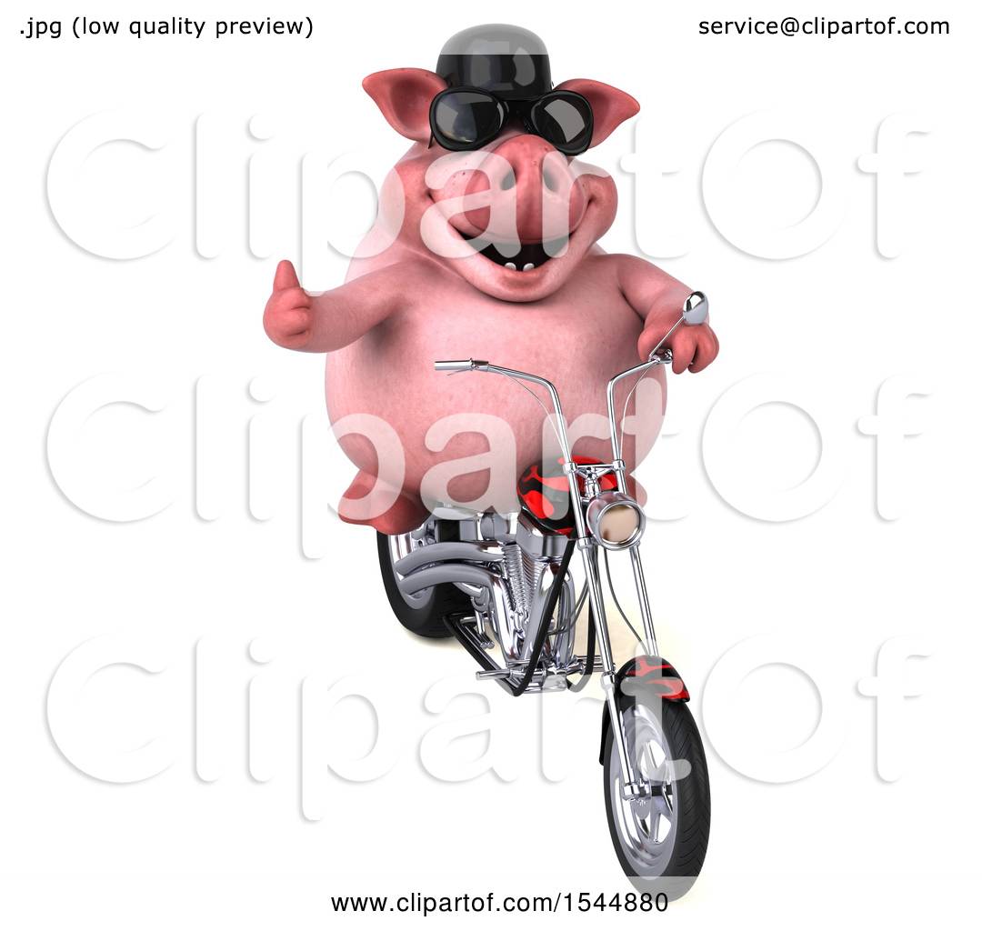 Detail Pig On Motorcycle Clipart Nomer 27