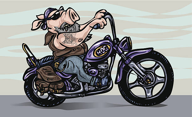 Detail Pig On Motorcycle Clipart Nomer 5