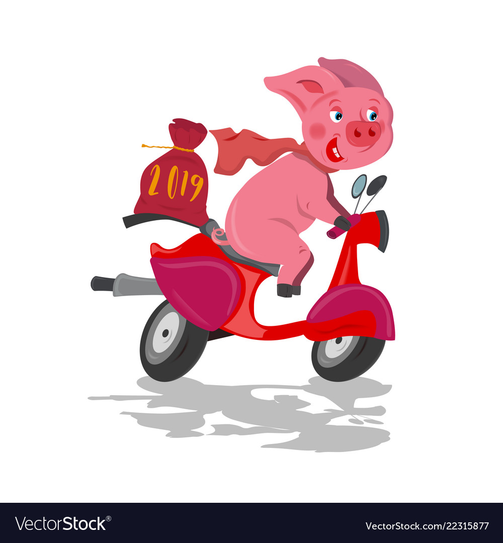 Detail Pig On Motorcycle Clipart Nomer 36