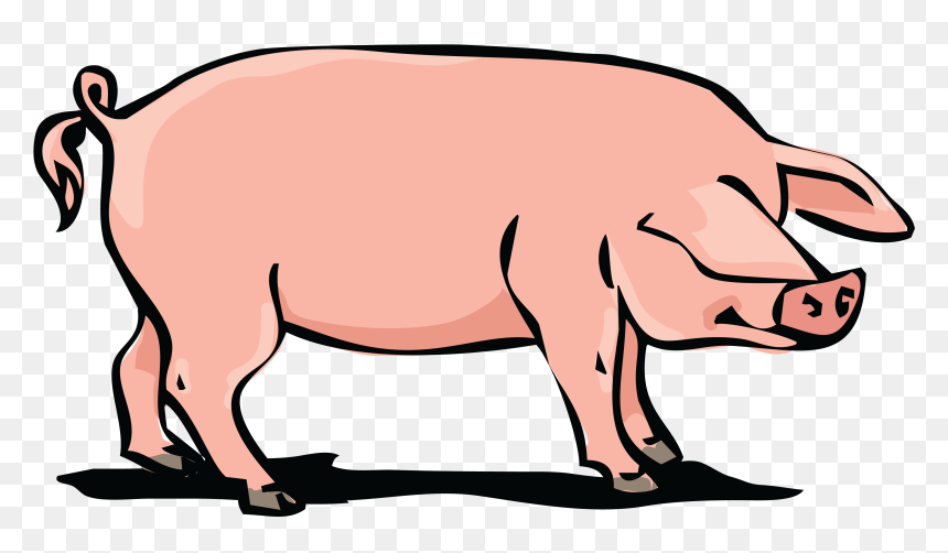 Detail Pig Png Clipart Nomer 21