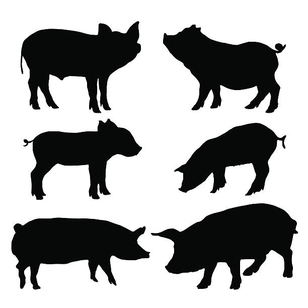 Detail Pig Silhouette Clip Art Nomer 24