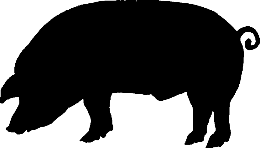 Detail Pig Silhouette Clipart Nomer 17