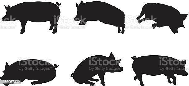 Detail Pig Silhouette Clipart Nomer 45
