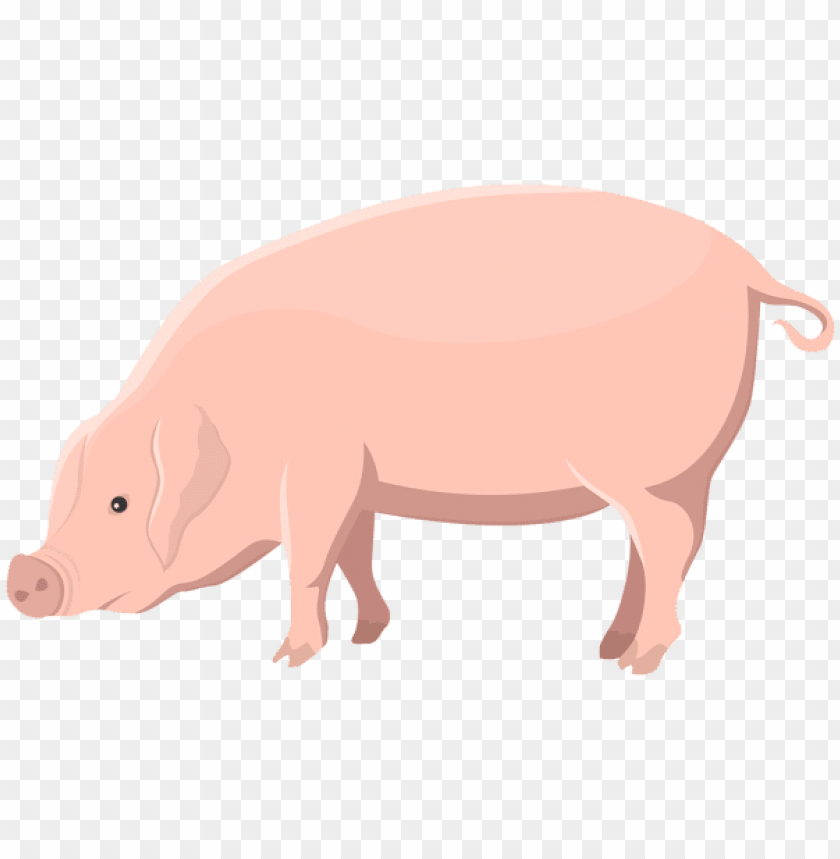 Detail Pig Transparent Background Nomer 16