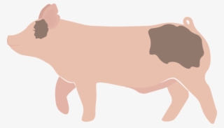 Detail Pig Vector Png Nomer 14