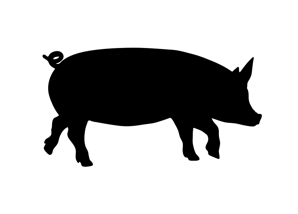 Detail Pig Vector Png Nomer 24