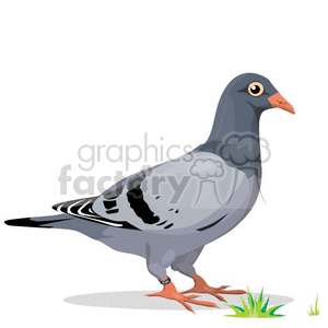 Detail Pigeon Clipart Nomer 18