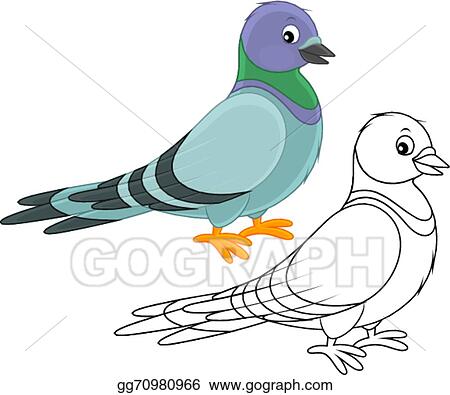 Detail Pigeon Clipart Nomer 31