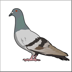 Detail Pigeon Clipart Nomer 32