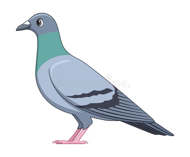 Detail Pigeon Clipart Nomer 4