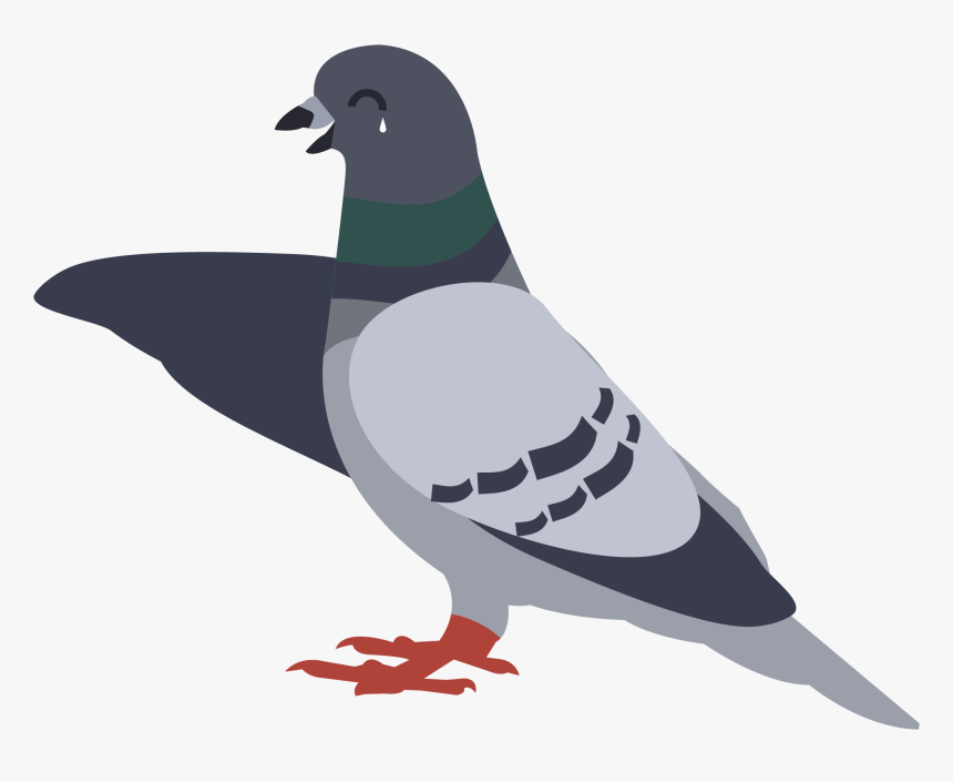 Detail Pigeon Clipart Nomer 36