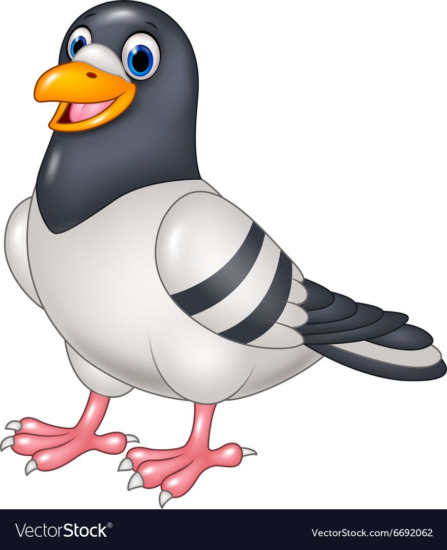 Detail Pigeon Clipart Nomer 41