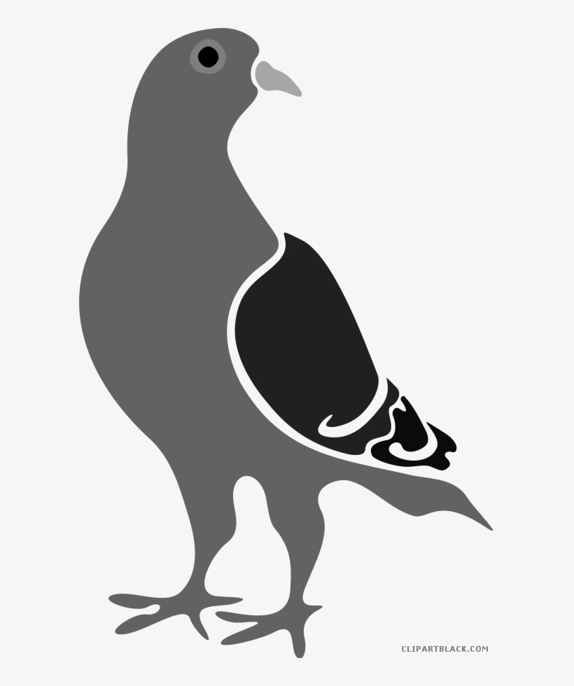 Detail Pigeon Clipart Nomer 44