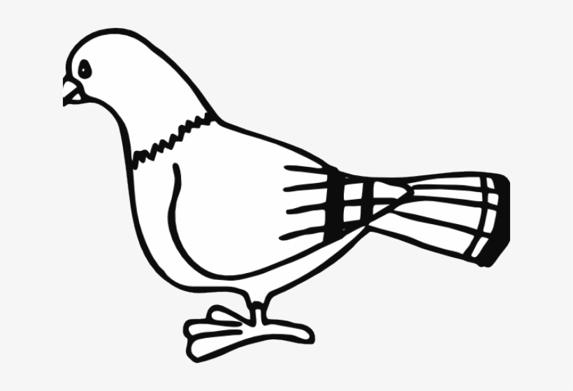 Detail Pigeon Clipart Nomer 48