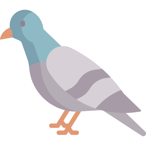 Detail Pigeon Icon Nomer 2