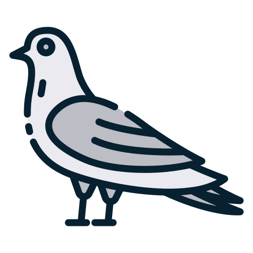 Detail Pigeon Icon Nomer 16