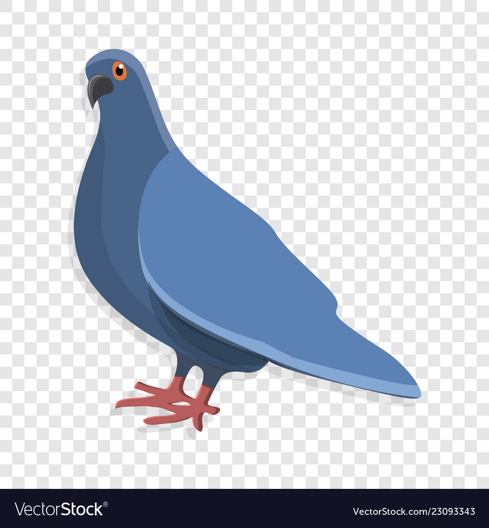 Detail Pigeon Icon Nomer 3