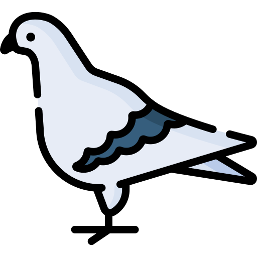 Detail Pigeon Icon Nomer 41