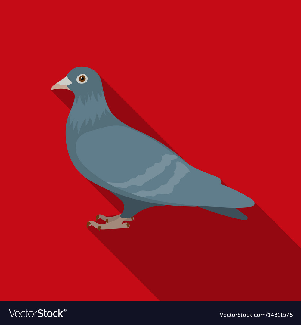 Detail Pigeon Icon Nomer 48