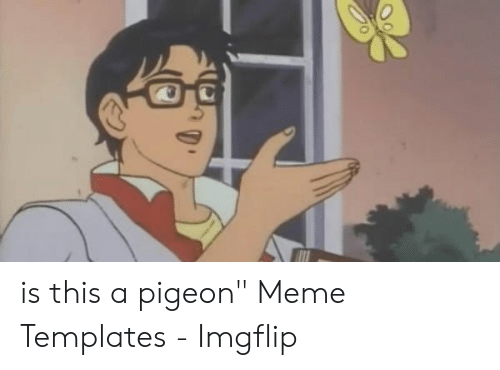 Detail Pigeon Meme Template Nomer 30