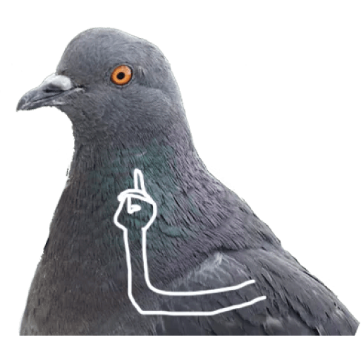 Detail Pigeon Meme Template Nomer 43