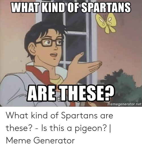 Detail Pigeon Meme Template Nomer 46