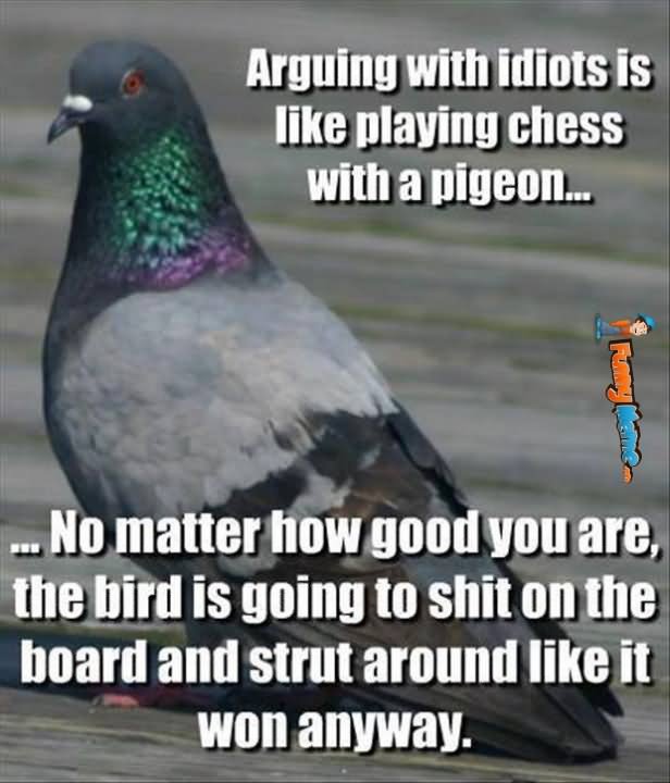 Pigeon Playing Chess Meme - KibrisPDR