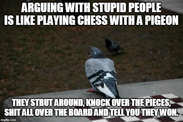 Detail Pigeon Playing Chess Meme Nomer 2