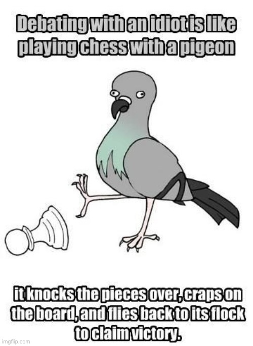 Detail Pigeon Playing Chess Meme Nomer 11