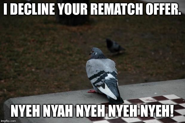 Detail Pigeon Playing Chess Meme Nomer 14