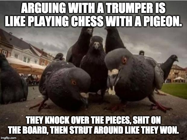 Detail Pigeon Playing Chess Meme Nomer 15