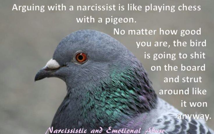 Detail Pigeon Playing Chess Meme Nomer 21