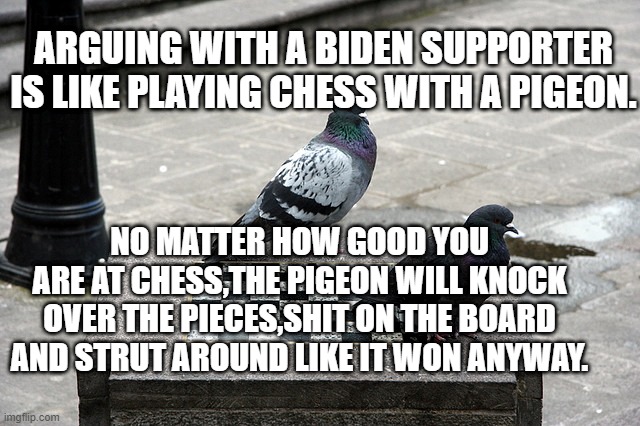 Detail Pigeon Playing Chess Meme Nomer 25