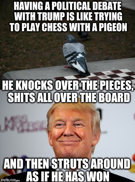 Detail Pigeon Playing Chess Meme Nomer 26