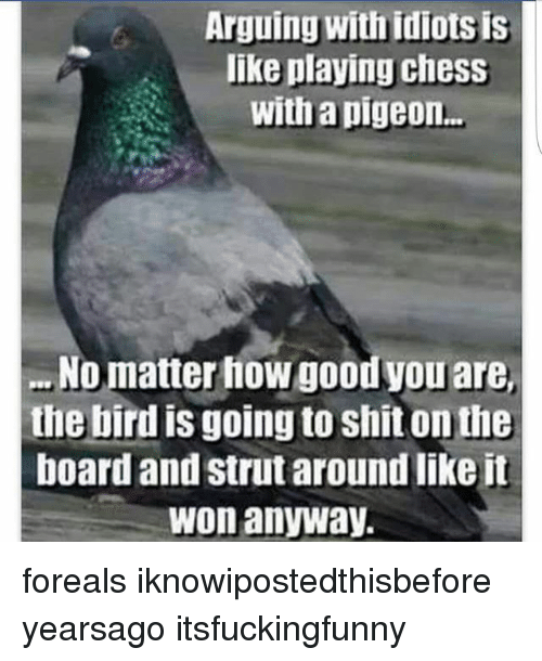 Detail Pigeon Playing Chess Meme Nomer 32