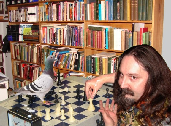 Detail Pigeon Playing Chess Meme Nomer 5