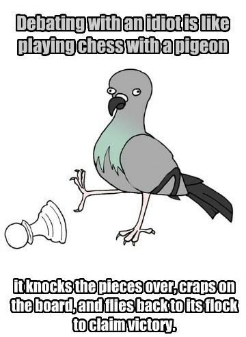 Detail Pigeon Playing Chess Meme Nomer 6