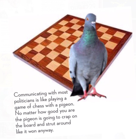 Detail Pigeon Playing Chess Meme Nomer 51