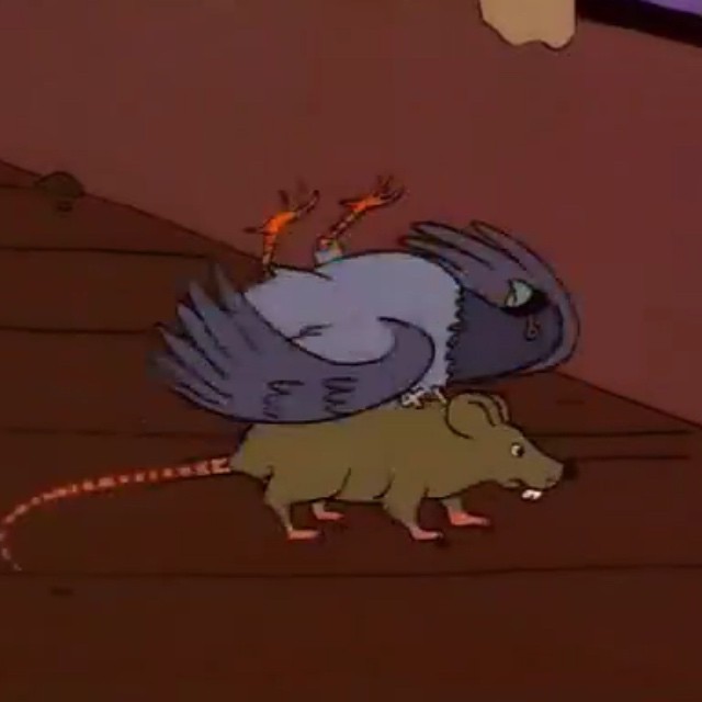 Detail Pigeon Rat Simpsons Nomer 50