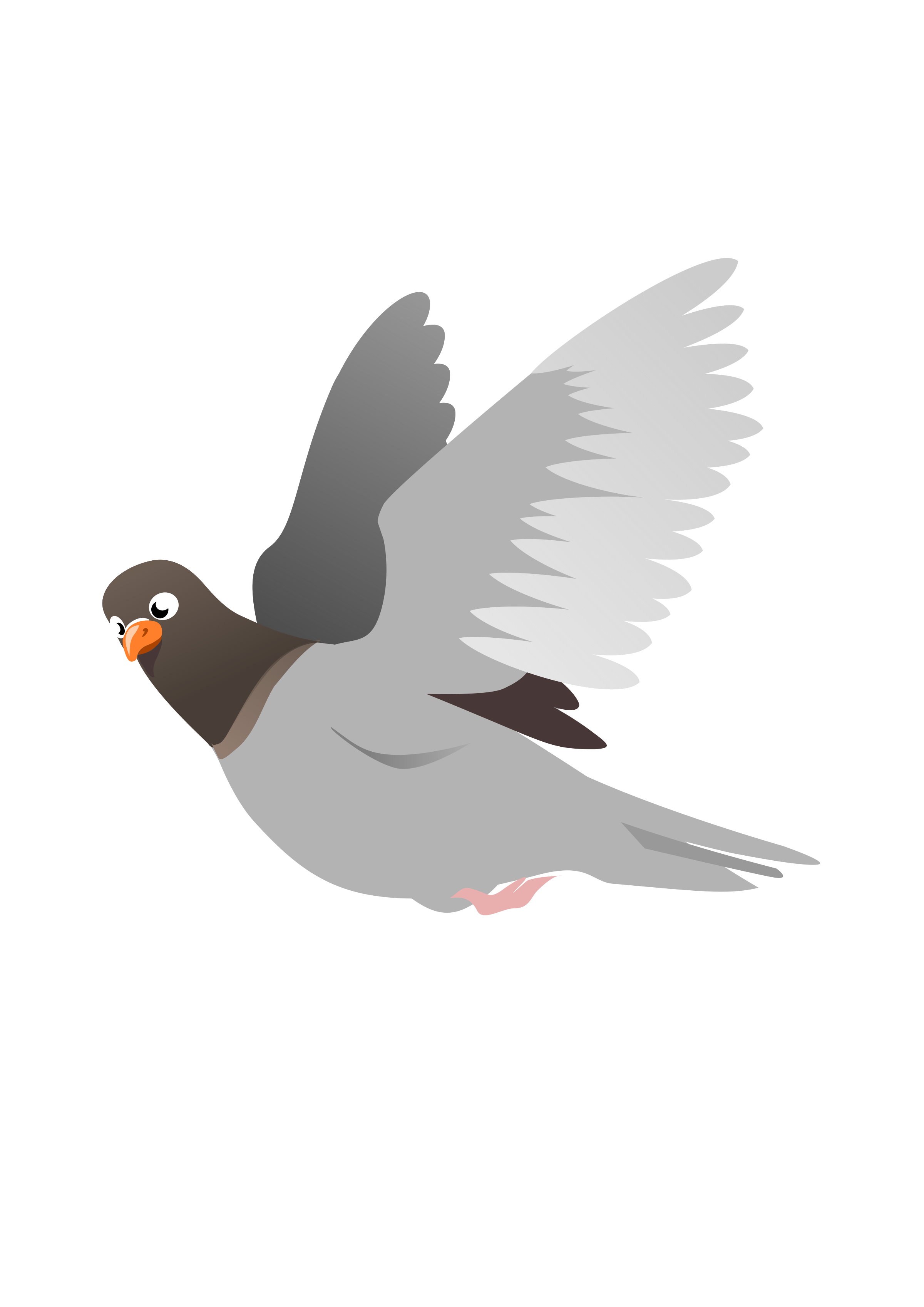 Detail Pigeon Transparent Background Nomer 25