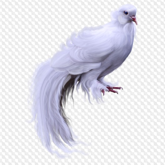 Detail Pigeon Transparent Background Nomer 36