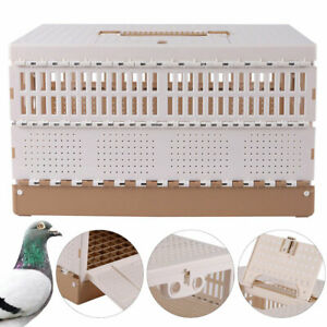 Detail Pigeon Transport Cage Nomer 17