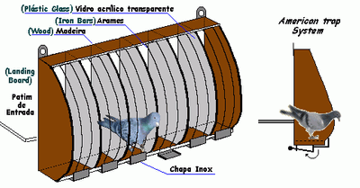 Detail Pigeon Trap Door Designs Nomer 9