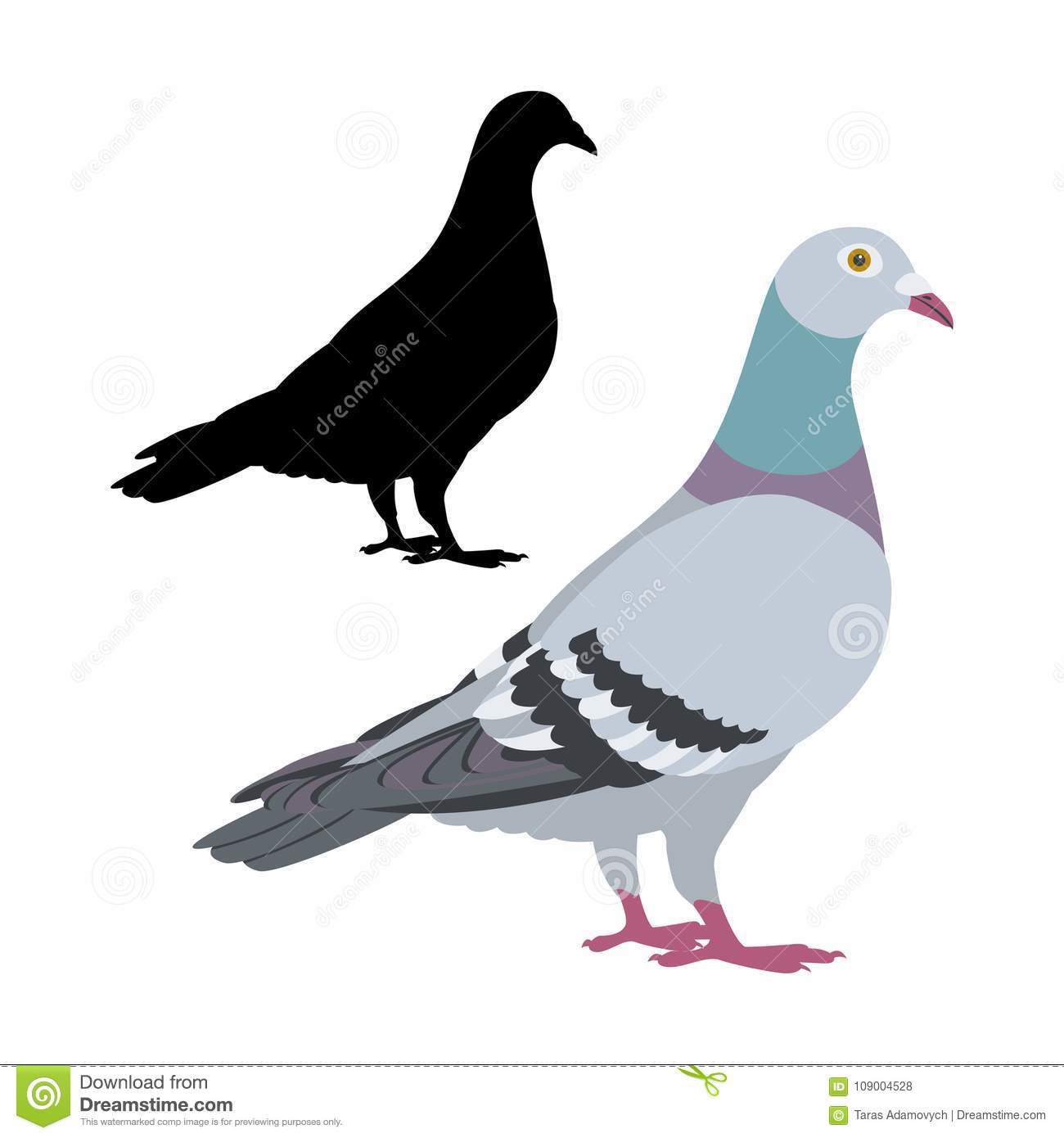 Detail Pigeons Clipart Nomer 27