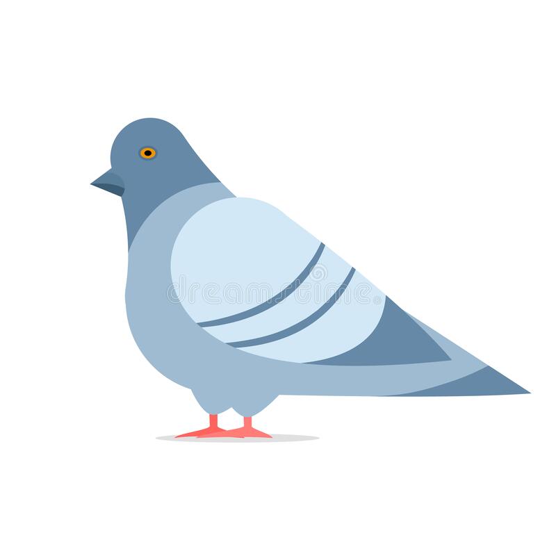 Detail Pigeons Clipart Nomer 29